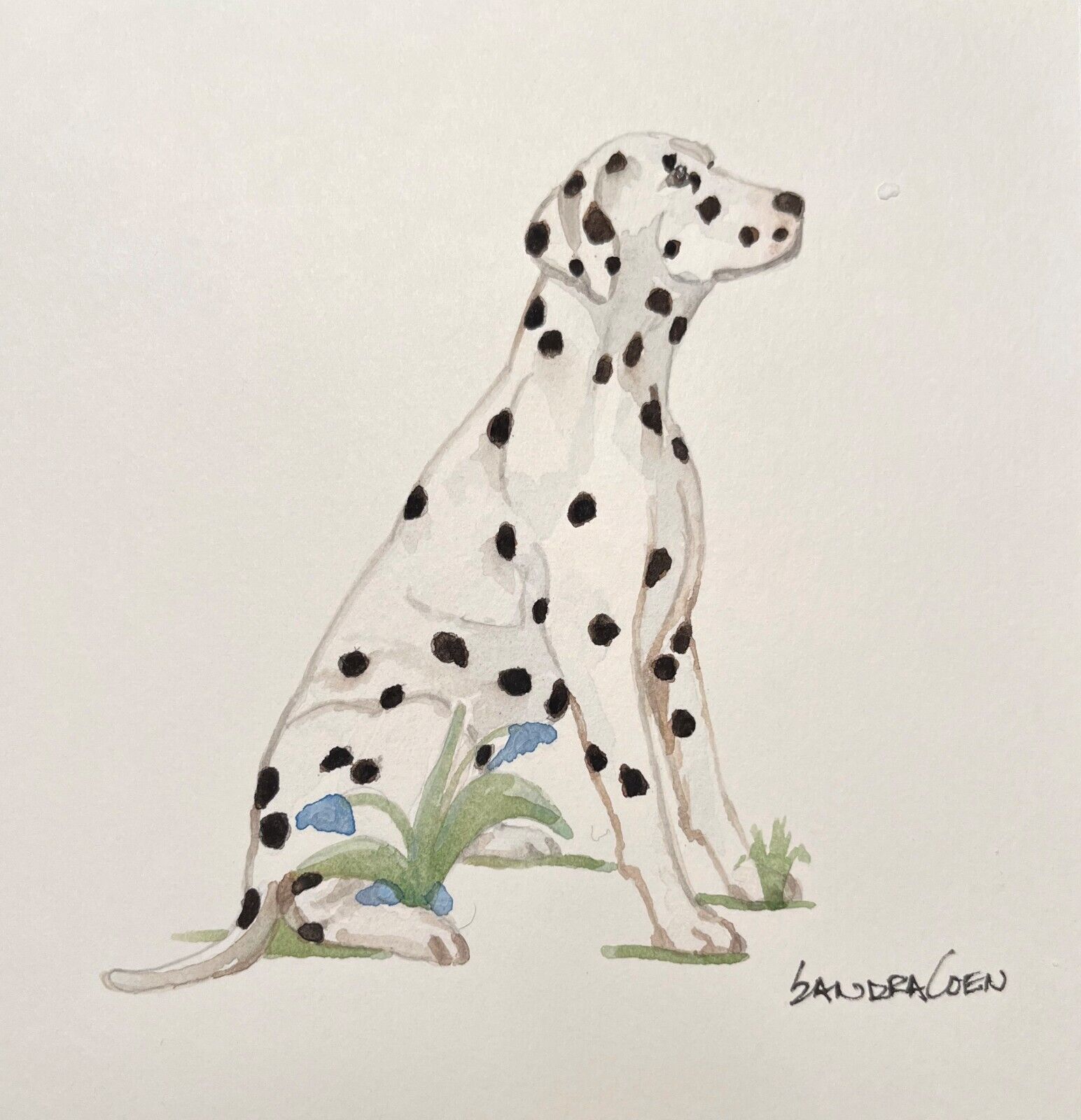 Dalmatian Sitting In Flowers Original Watercolor By Sandra Coen